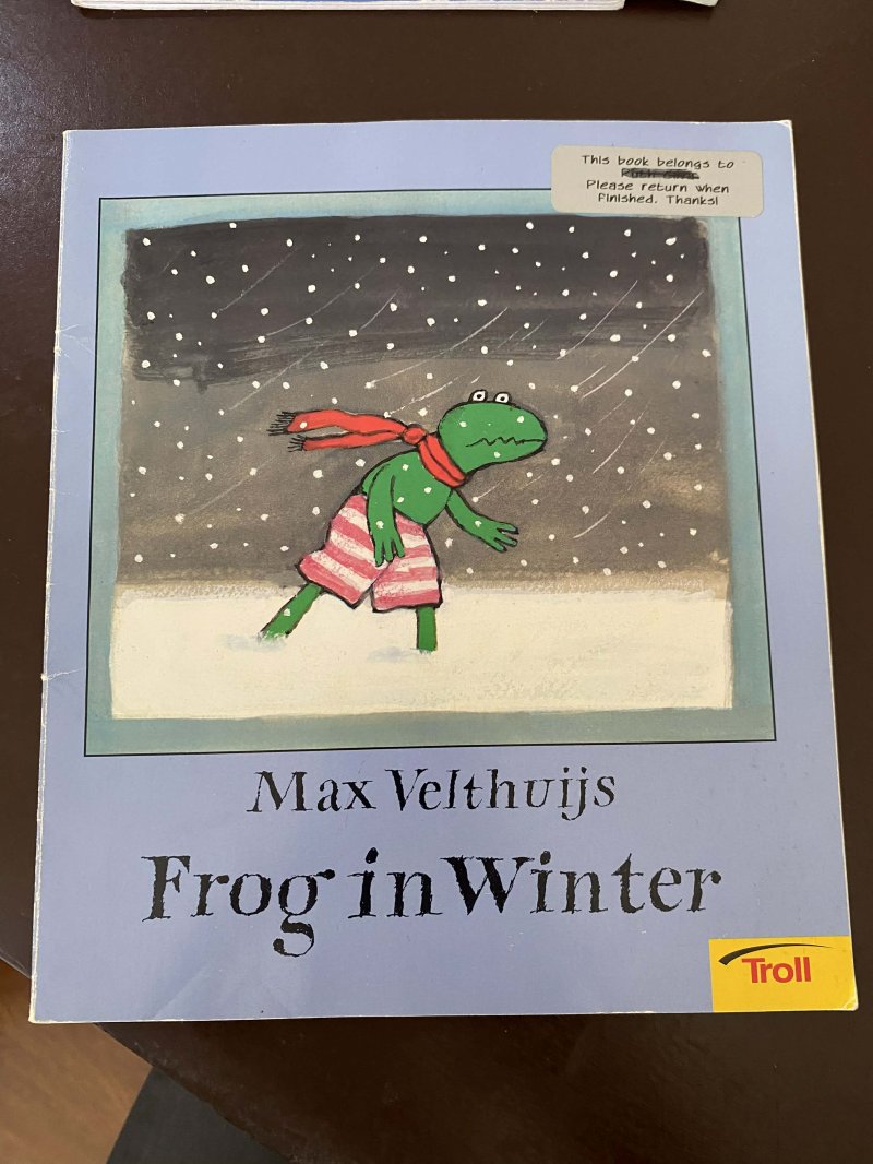Frog in Winter