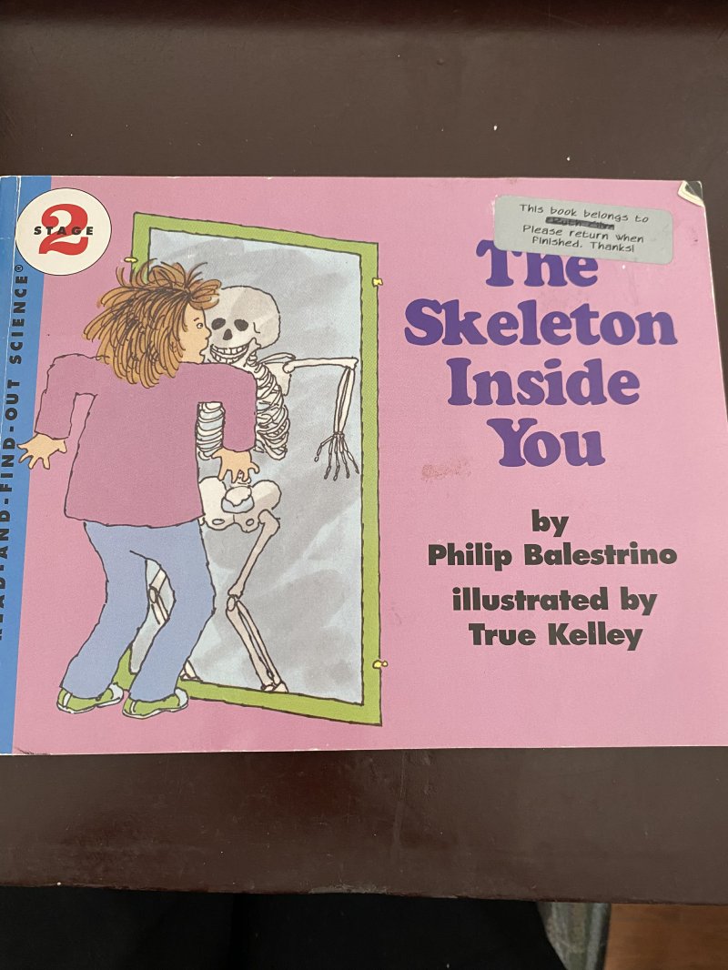 The Skeleton inside you