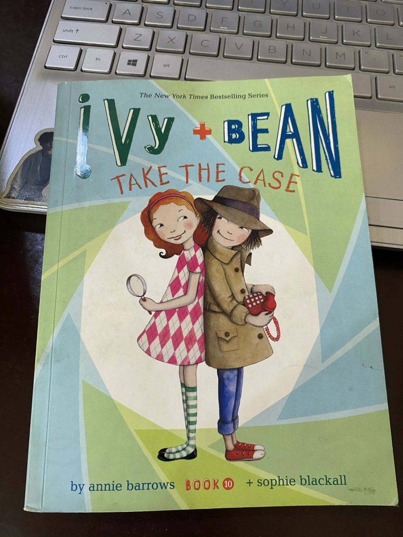 Ivy + Bean take the case