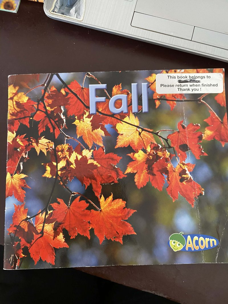 Fall