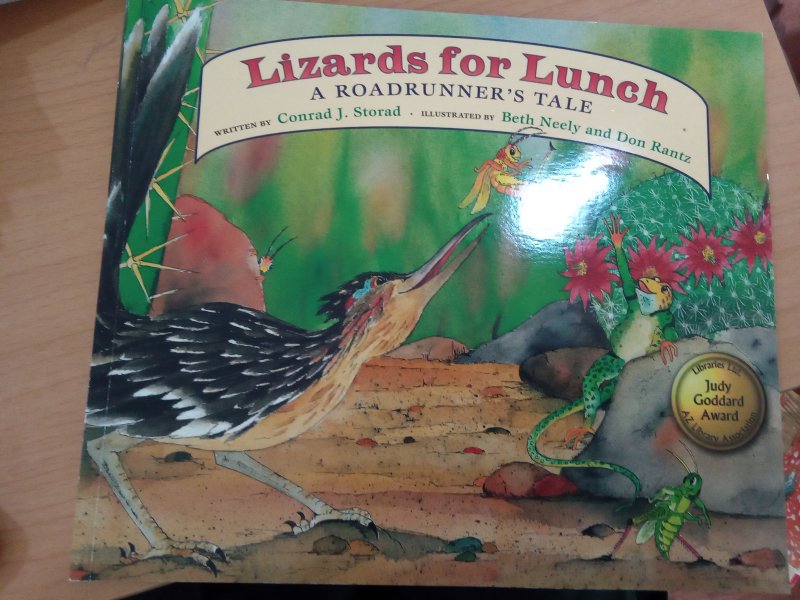 Lizard For Lunch