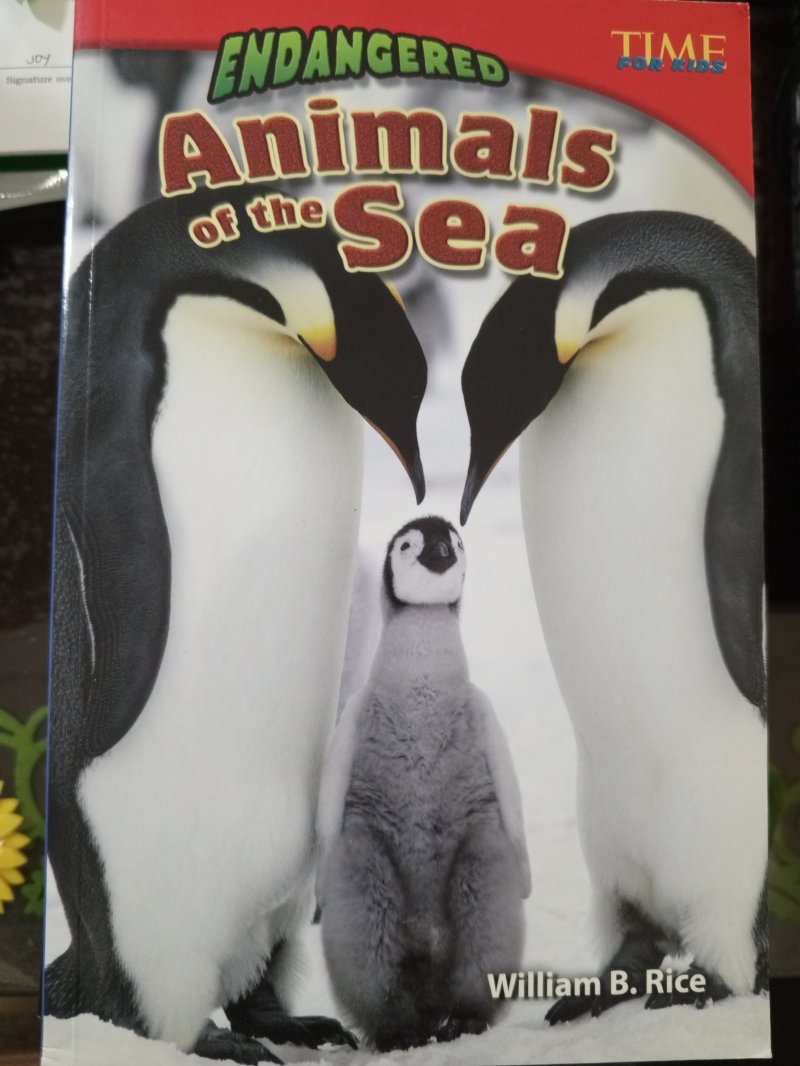 Endangered Animals of the Sea