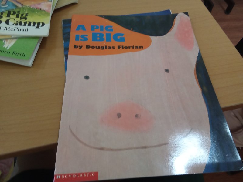 A Pig Is Big