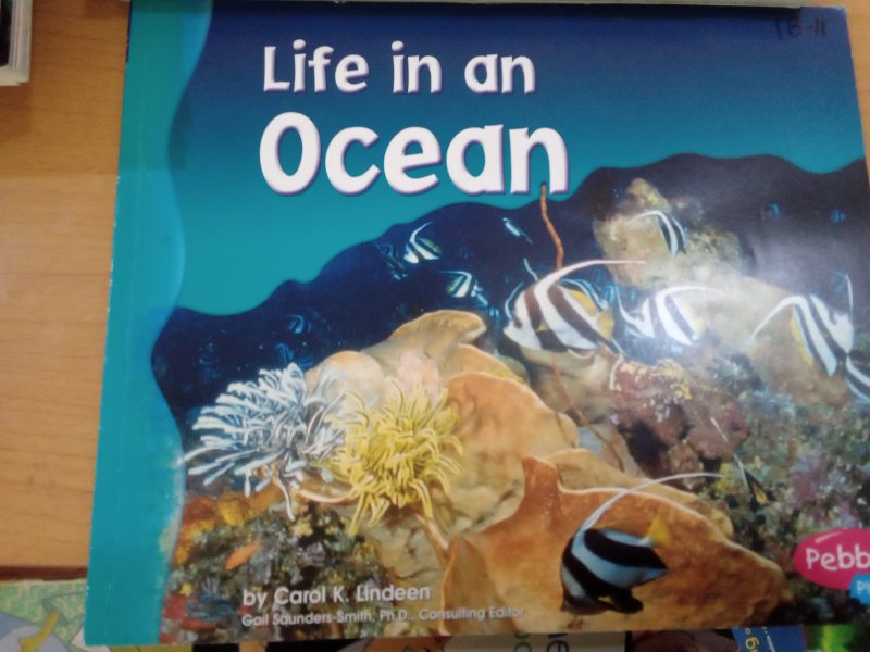 Life in an Ocean