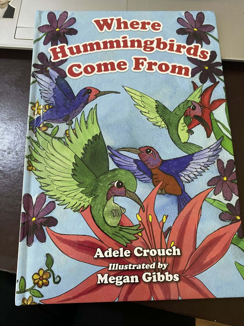 Where Hummingbirds come from