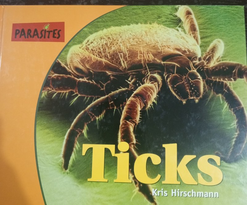 Ticks