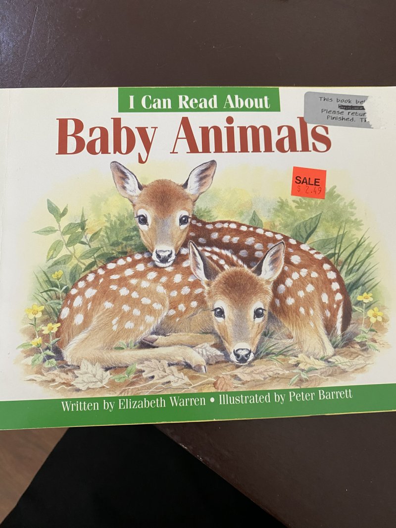 Baby Animals