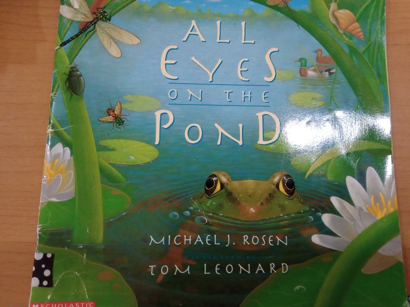  All Eyes On The Pond