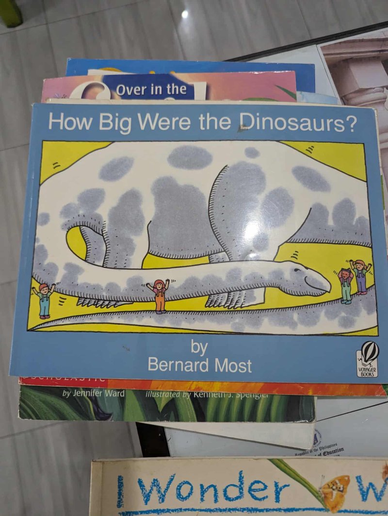 HOW BIG WERE THE DINOSAURS