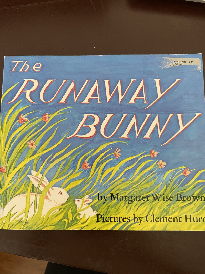 The Runaway Bunny