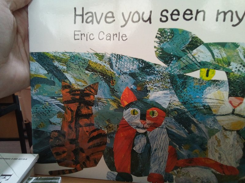 Have you seen my cat?