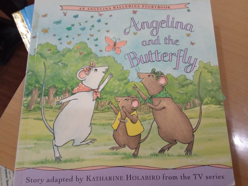 Angelina and the Butterfly