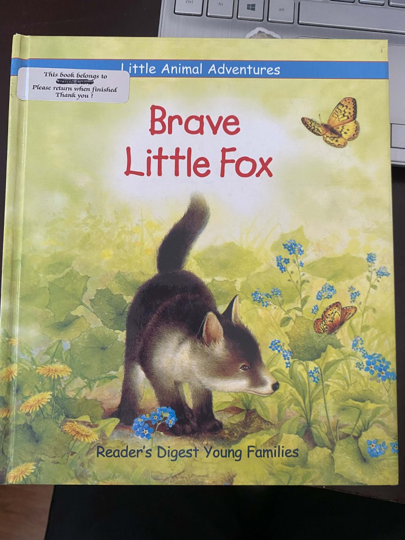 Brave Little Fox