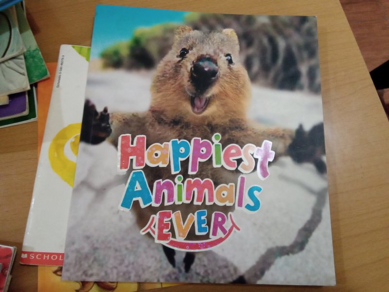 Happiest Animals Ever