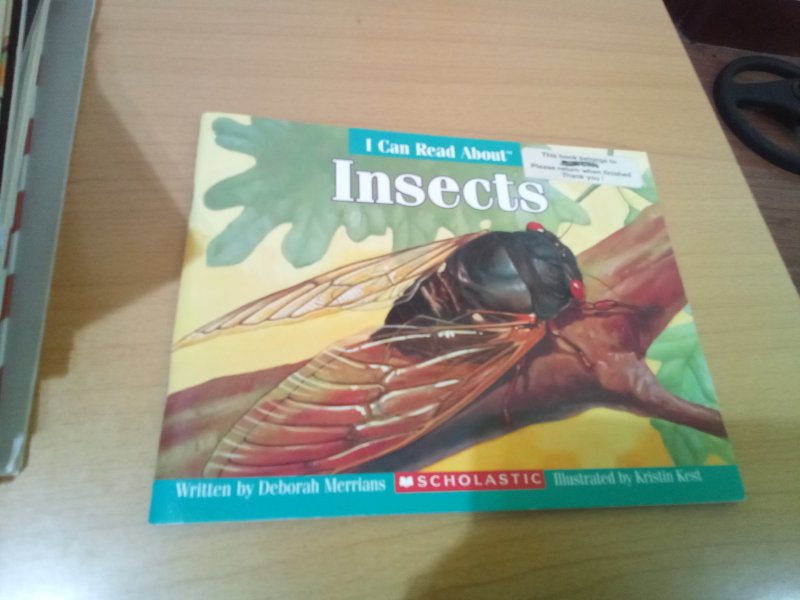 Insects
