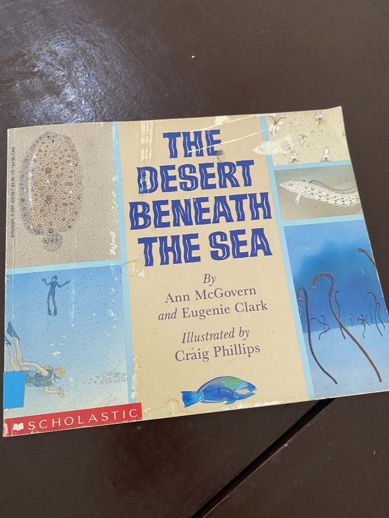 The Desert Beneath the sea
