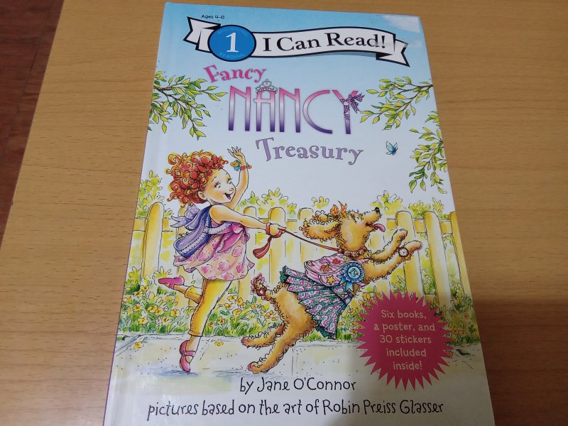 Fancy NANCY Treasury