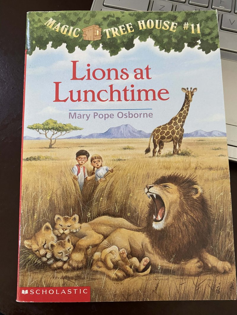 Lions at Lunchtime