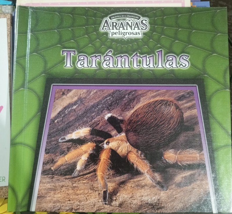 Tarantulas