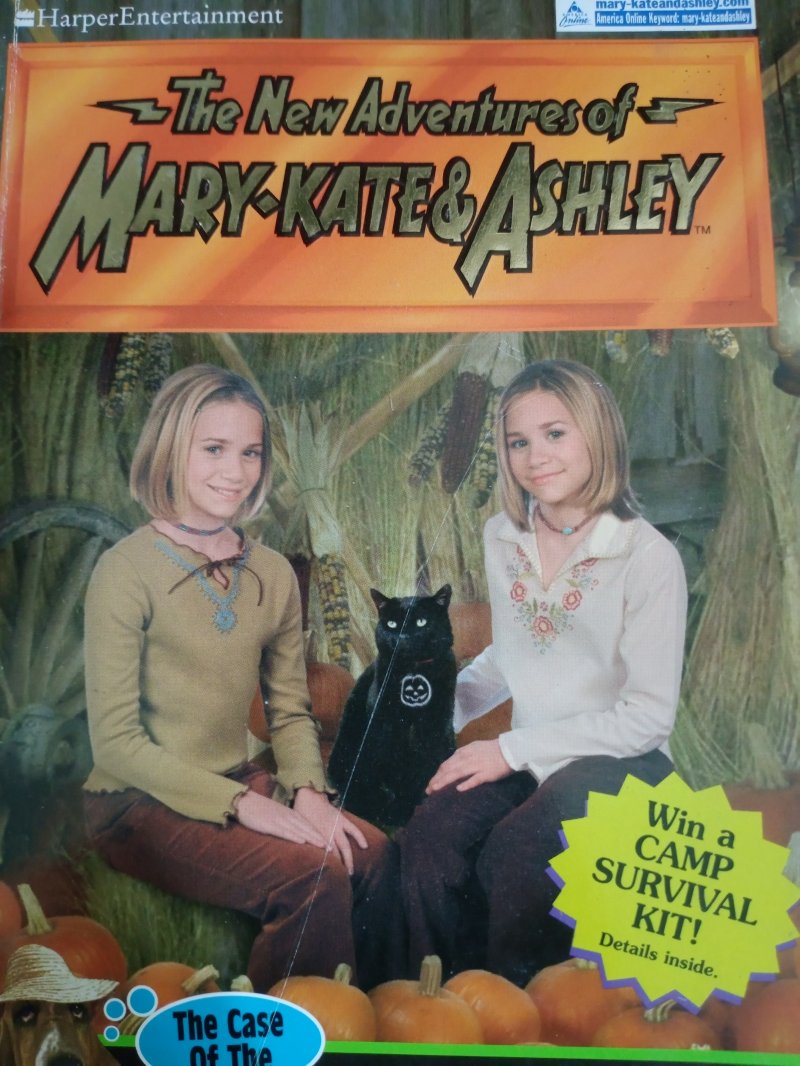 The New Adventures of Mary,Kate and Ashley