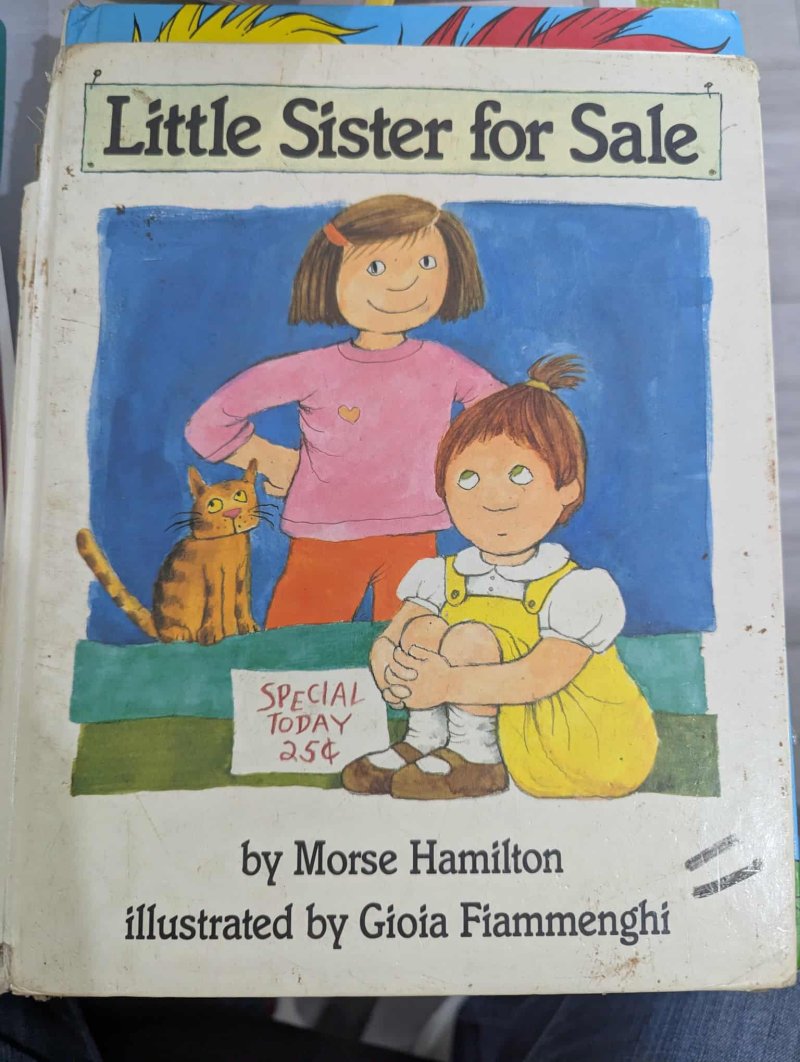 Little Sister for Sale 