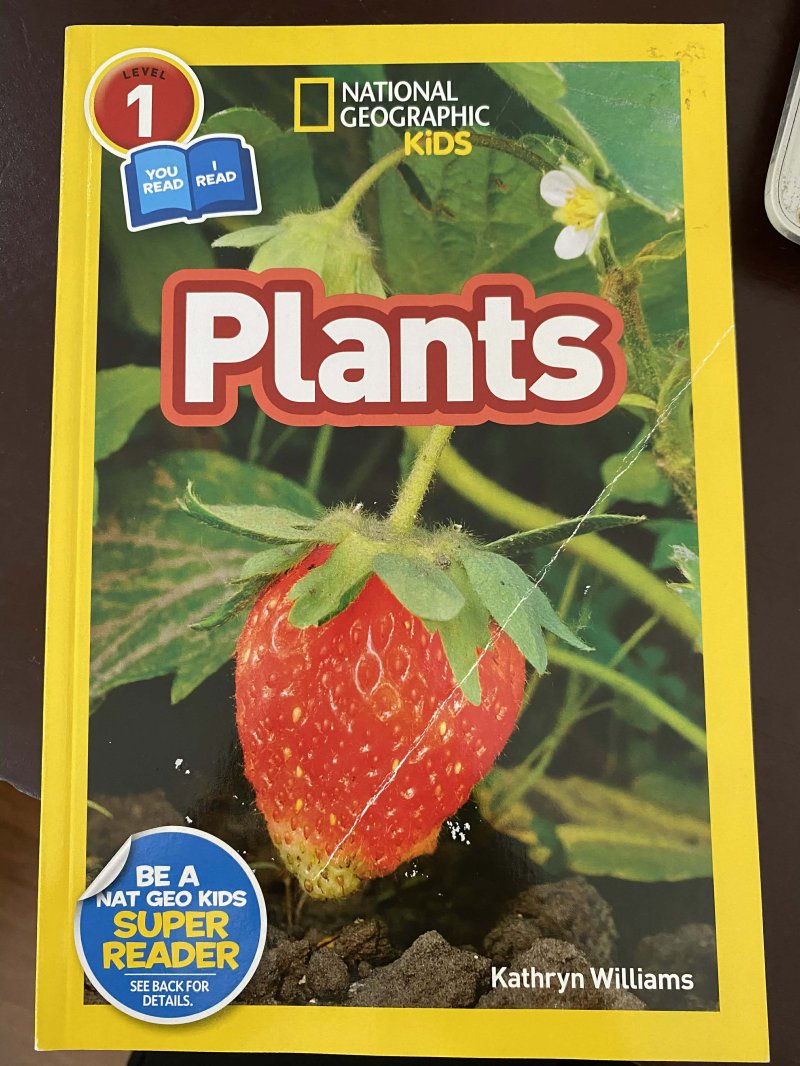 Plants