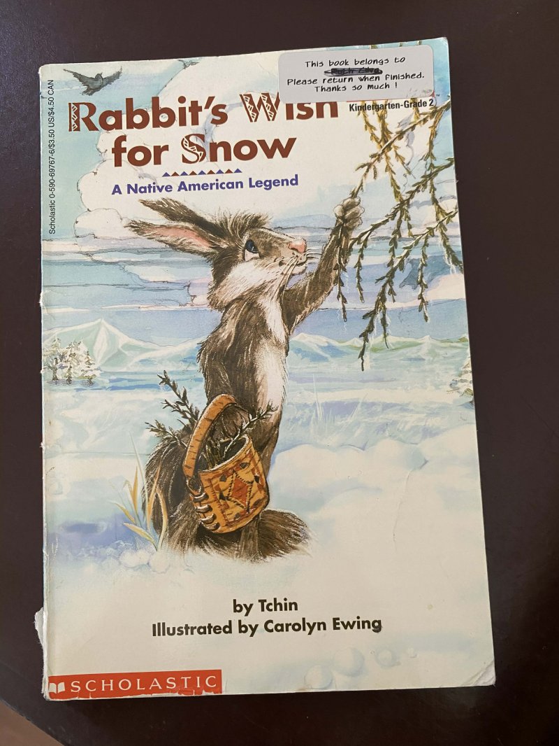 Rabbit's Wish for Snow