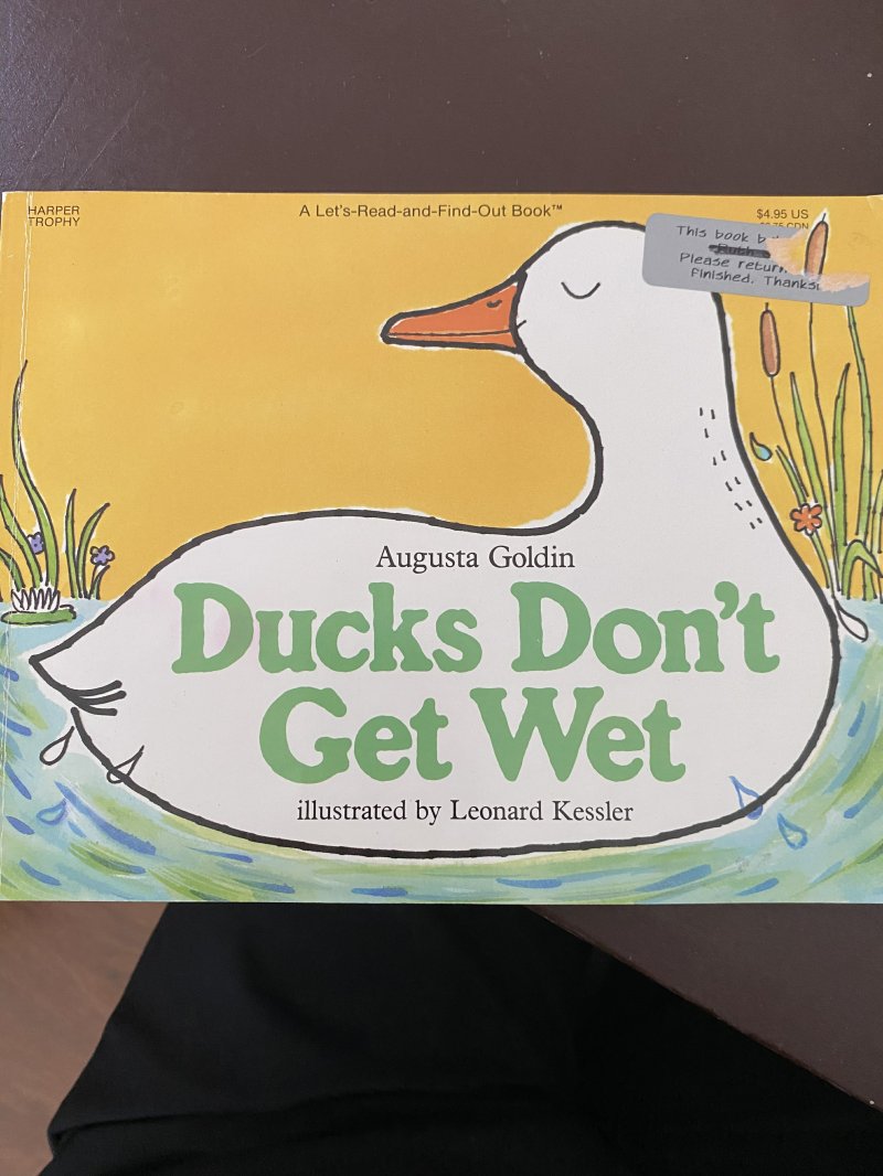 Duck Don't Get Wet