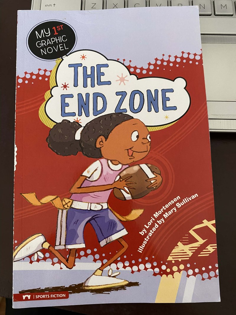 The End Zone (my first graphic novel)