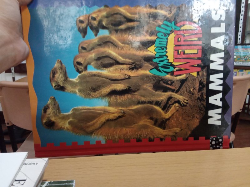 Extremely weird mammals