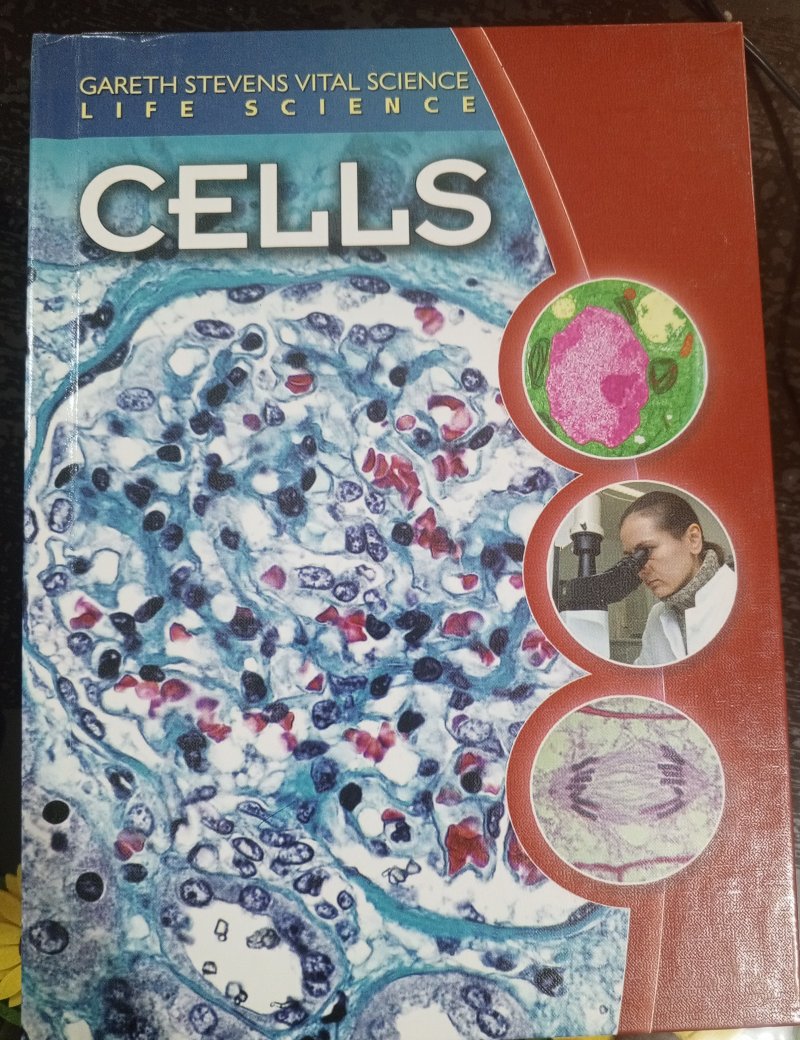 CELLS