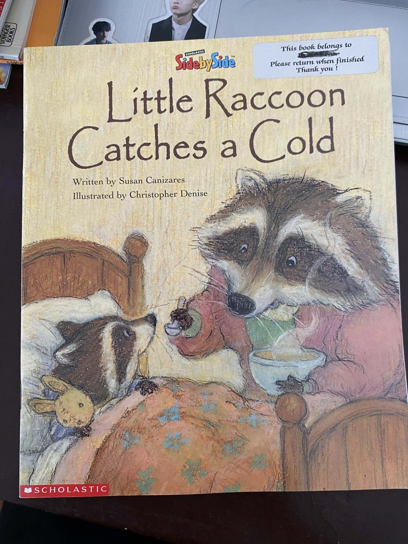 Little Raccoon Catches a Cold 
