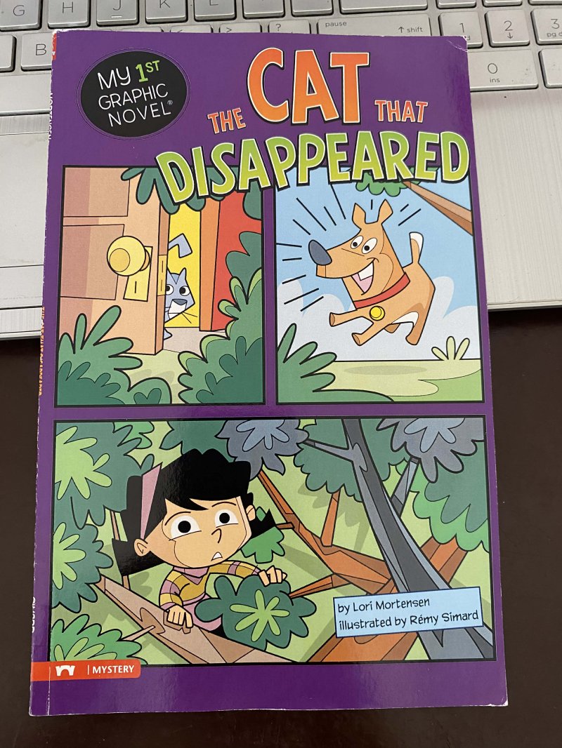 The Cat that Disappeared