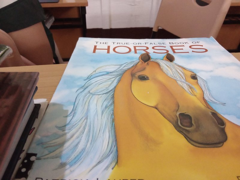THE TRUE-OR-FALSE BOOK OF HORSES