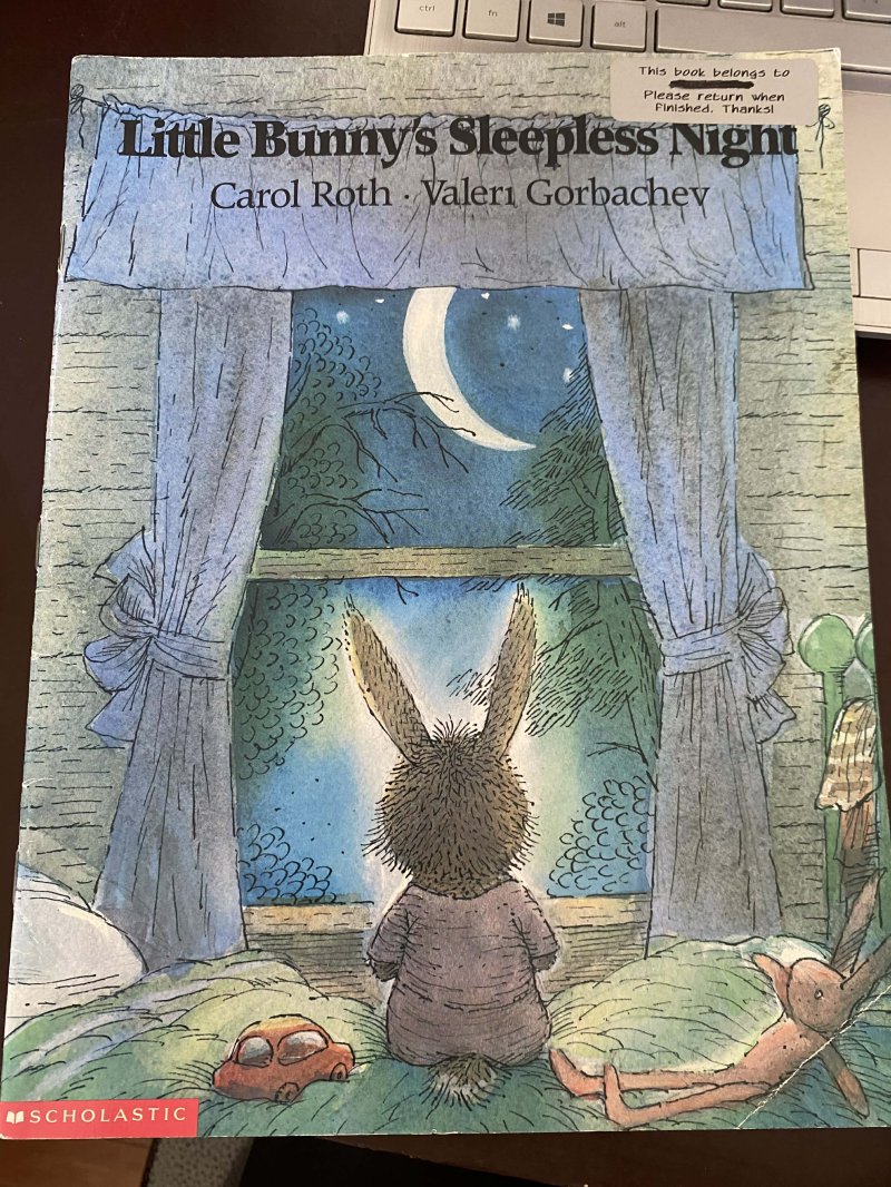 Little Bunny's Sleepless Night