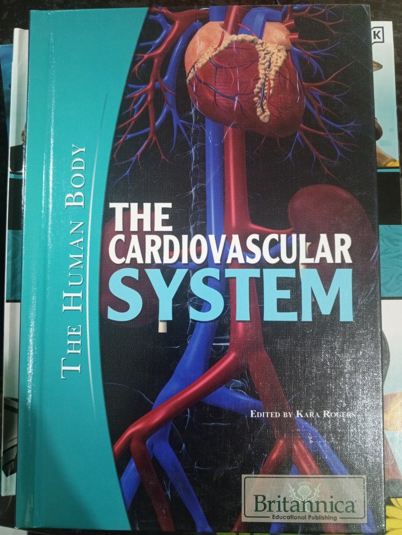 The Cardiovascular System