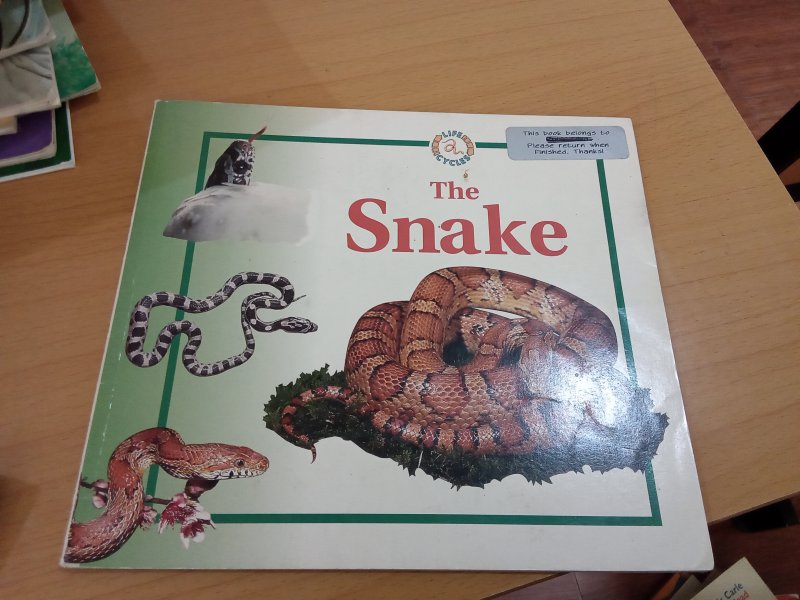 The snake
