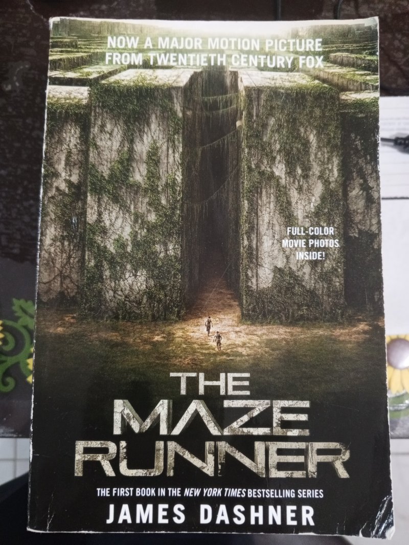 The Maze Runner