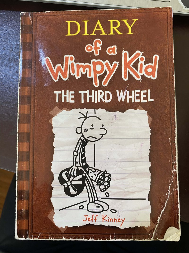 Diary of a Wimpy Kid The Third Wheel