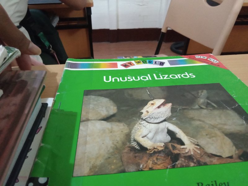 Unusual Lizards 