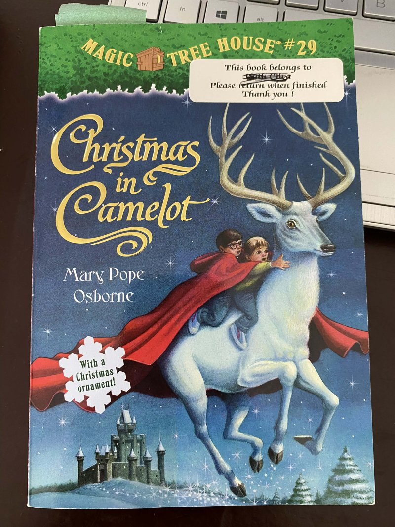 Christmas in Camelot