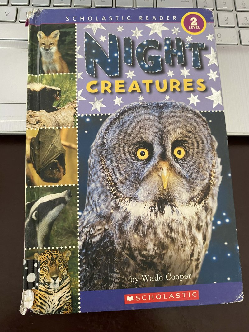 Night Creatures