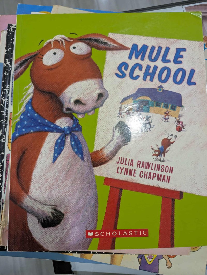 Mule School