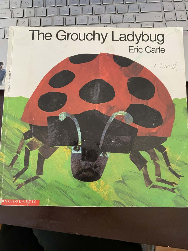 The Grouchy Laybug