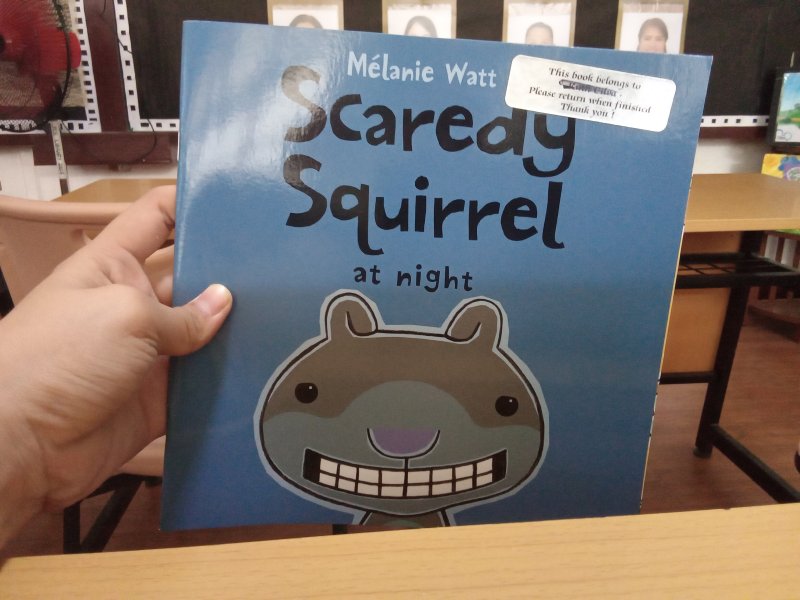 Scaredy squirrel at night