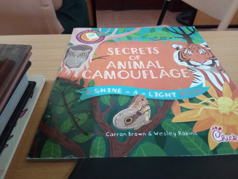 Secret ofc Animal Camouflage A Shine-A-Light Book