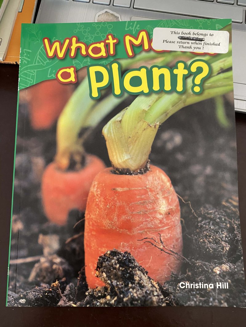 What makes a plant?