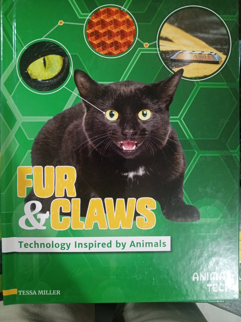 Fur & Claws