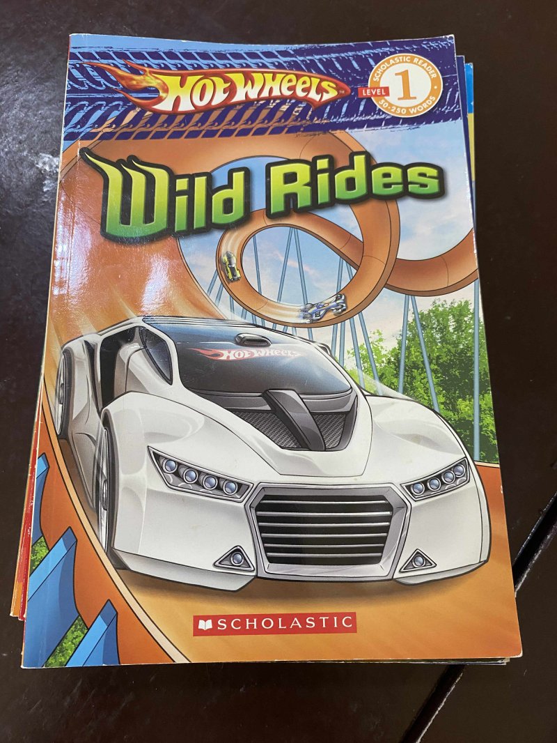 Wild Rides