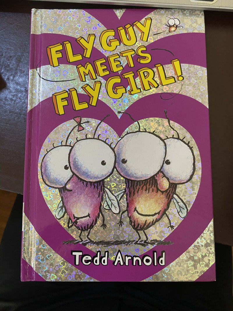 Fly Guy Meets Fly Girl!
